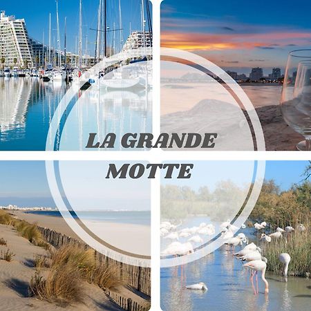 Le DREAM BEACH-TERRASSE-VUE MER D'Exception-WIFI-PARKING - CoHôteConciergerie Palavas-les-Flots Extérieur photo